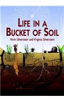 Life in a Bucket of Soil