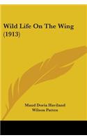 Wild Life On The Wing (1913)