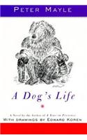 A Dog's Life