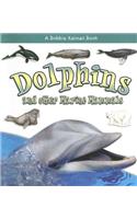 Dolphins and other Marine Mammals