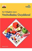 Sut i Ddisgleirio mewn Ymchwiliadau Gwyddonol