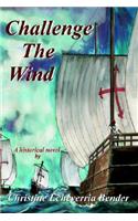 Challenge the Wind