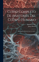 Curso Completo De Anatomía Del Cuerpo Humano