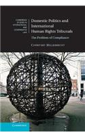 Domestic Politics and International Human Rights Tribunals