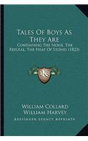 Tales Of Boys As They Are