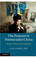 The Peasant in Postsocialist China