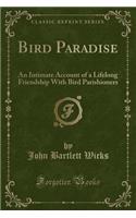 Bird Paradise