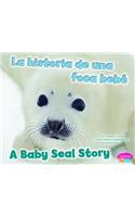 La Historia de una Foca Bebe/A Baby Seal Story