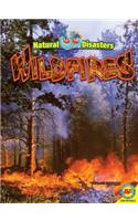 Wildfires