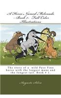 A Horse Named Melenudo - Book 1- Full Color Illustrations