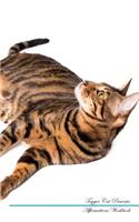 Toyger Cat Affirmations Workbook Toyger Cat Presents: Positive and Loving Affirmations Workbook. Includes: Mentoring Questions, Guidance, Supporting You.