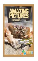 Amazing Pictures and Facts about Crabs: The Most Amazing Fact Book for Kids about Crabs: (English)