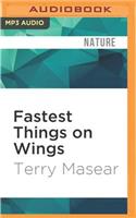 Fastest Things on Wings