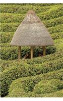 Hut in a Hedge Maze Journal: 150 page lined notebook/diary