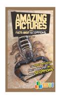 Amazing Pictures and Facts about Scorpions: The Most Amazing Fact Book for Kids about Scorpions