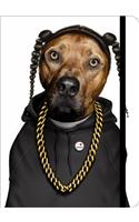 Rap, Small Pets Rock Journal