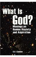 What Is God? Musings on Human Anxiety and Aspirations