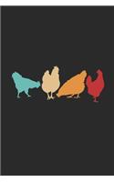 Colorful Chickens