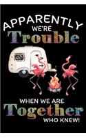 Apparently We're Trouble When We Are Together Who Knew!