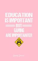 Gaming Journal