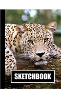 Sketchbook: Leopard Cover Design - White Paper - 120 Blank Unlined Pages - 8.5" X 11" - Matte Finished Soft Cover