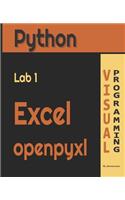 Python Lab1 Excel openpyxl: Visual Programming