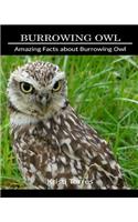 Amazing Facts about Burrowing Owl
