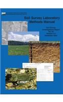 Soil Survey Laboratory Methods (Soil Survey Investigations Report No. 42 Version 4.0 November 2004 &#65532;)