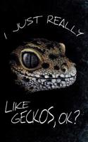 I Just Really Like Geckos, Ok?