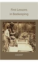 First Lessons in Beekeeping