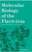 Molecular Biology of the Flavivirus