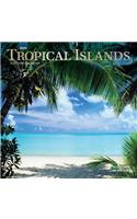 Tropical Islands 2020 Mini 7x7 Foil