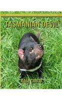 Tasmanian Devil