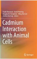 Cadmium Interaction with Animal Cells