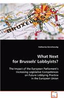 What Next for Brussels' Lobbyists?