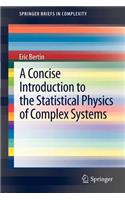 A Concise Introduction to the Statistical Physics of Complex Systems: (2 SpringerBriefs in Complexity)