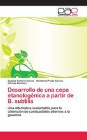 Desarrollo de una cepa etanologénica a partir de B. subtilis