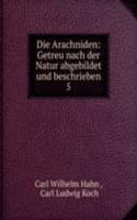 Die Arachniden: Getreu nach der Natur abgebildet und beschrieben