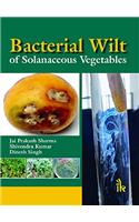 Bacterial Wilt of Solanaceous Vegetables