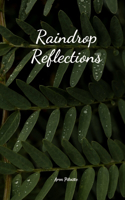 Raindrop Reflections