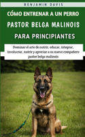 Cómo Entrenar A Un Perro Pastor Belga Malinois Para Principiantes