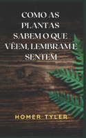 Como as Plantas Sabem O Que Vêem, Lembram E Sentem