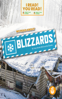 We Read about Blizzards