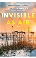 Invisible as Air