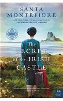 The Secret of the Irish Castle