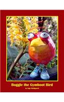 Boggle the Gymboot Bird