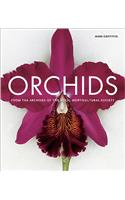 Orchids