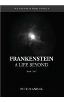 Frankenstein A Life Beyond