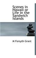 Scenes in Hawaii or Life in the Sandwich Islands