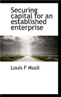 Securing Capital for an Established Enterprise